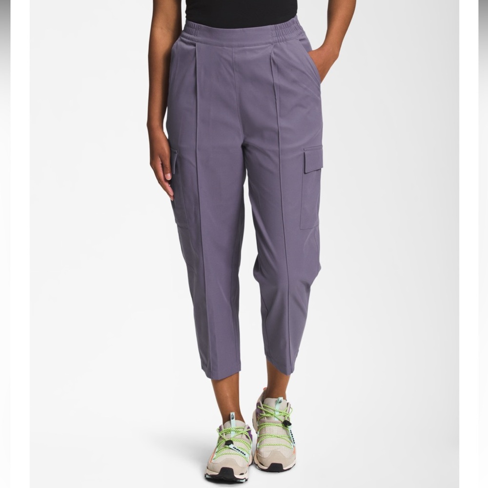 NWNT The North Face Standard Cargo Pant